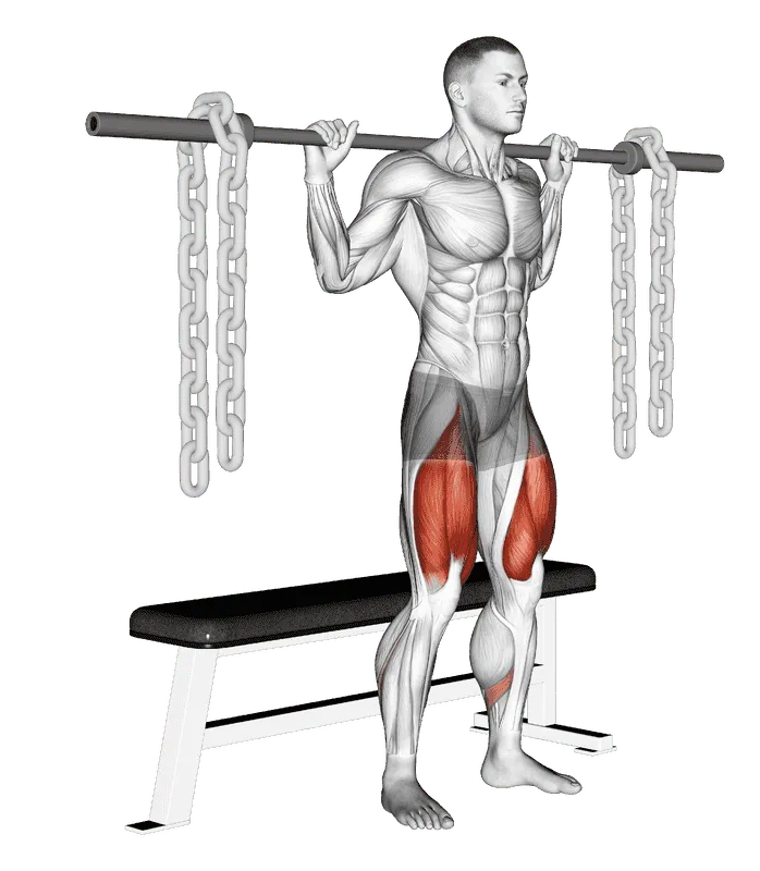 Barbell Bench Squat (With Chains), Male demonstration, Start