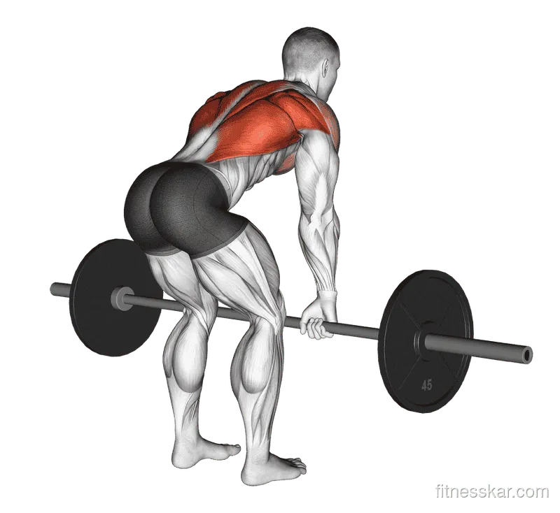 Barbell Bent-Over Row