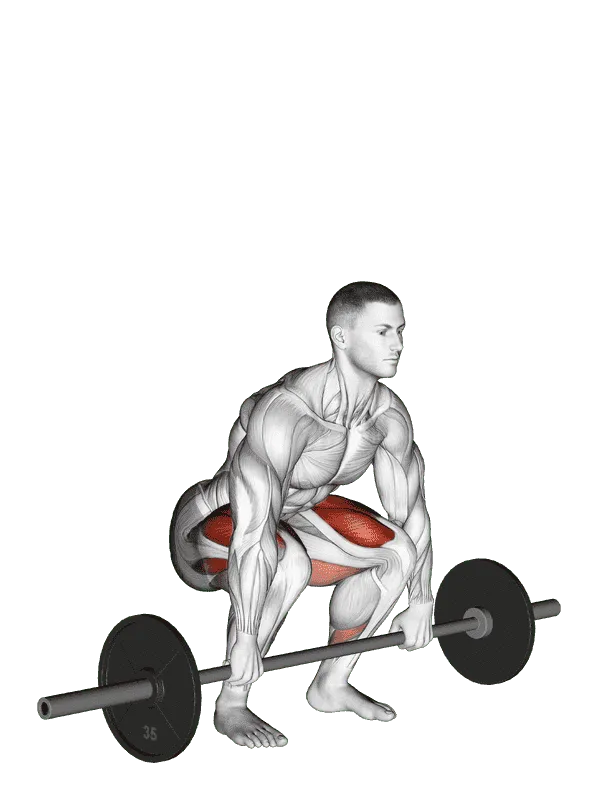 Barbell Clean Deadlift