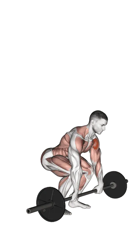Barbell Clean and Press
