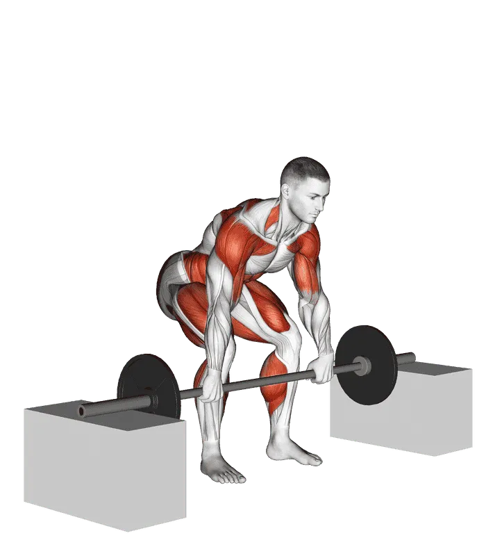 Barbell Clean from Blocks