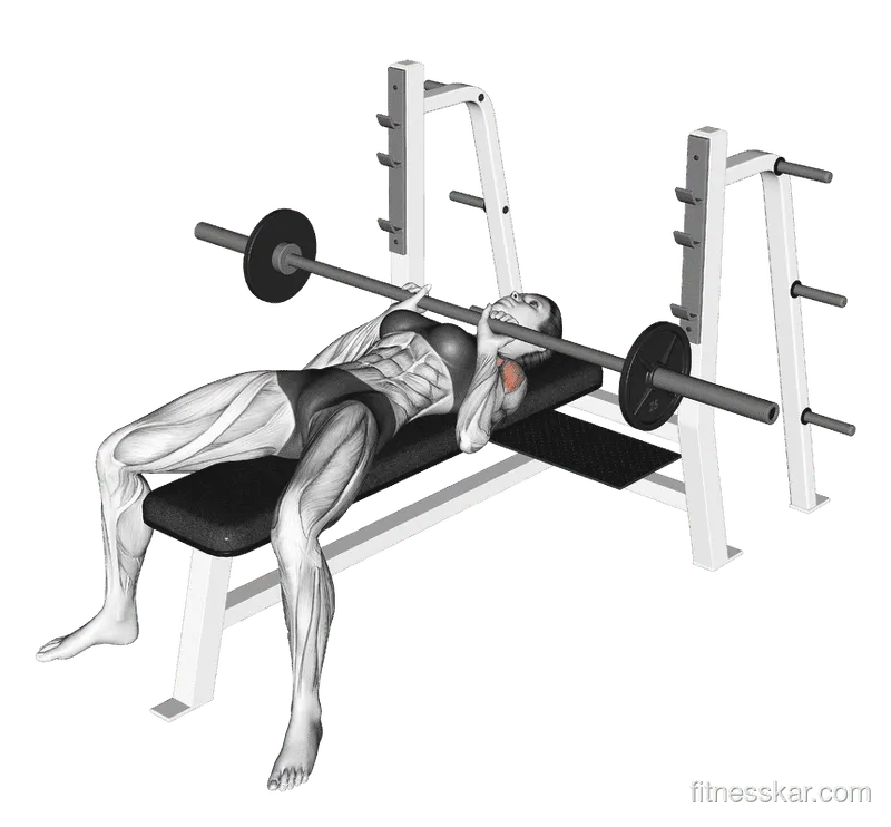Barbell Close-Grip Bench Press, Female demonstration, Start