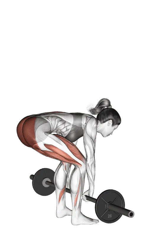 Barbell Deadlift, Female demonstration, Start