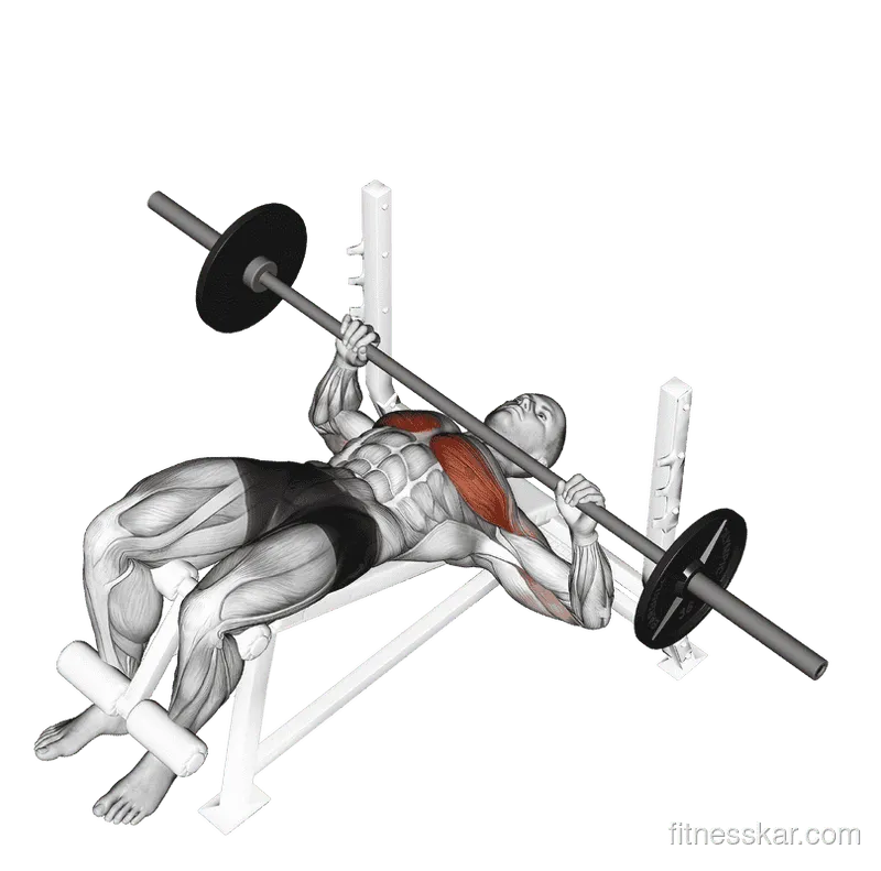 Barbell Decline Bench Press