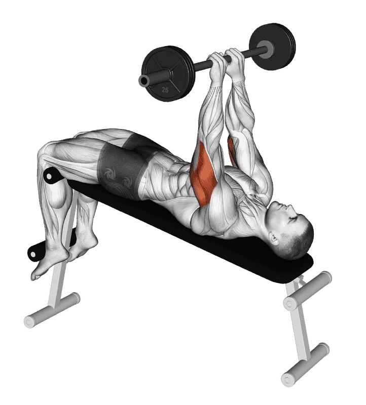 Barbell Decline Close-Grip to Skull Press