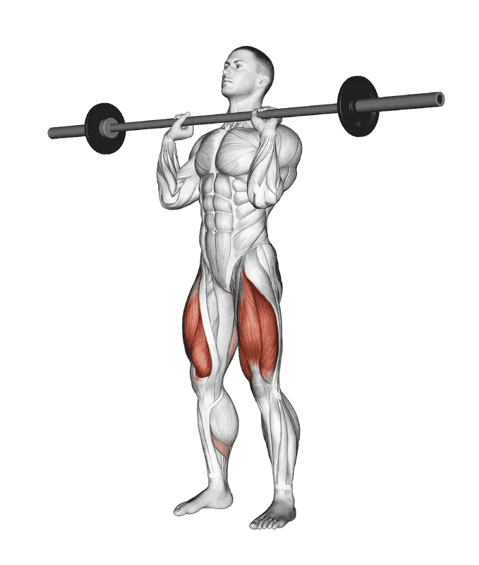Barbell Front Chest Squat, Male demonstration, Start