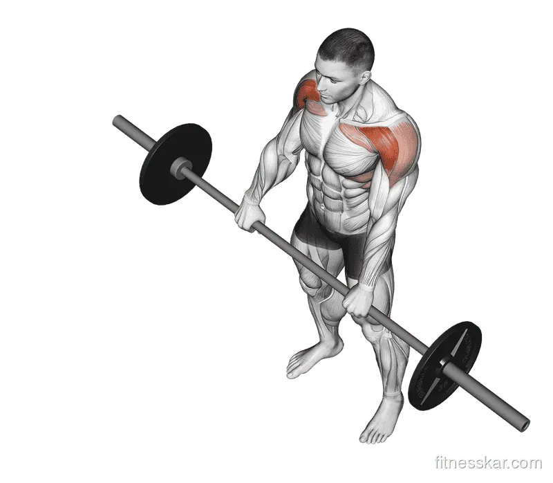 Barbell Front Raise