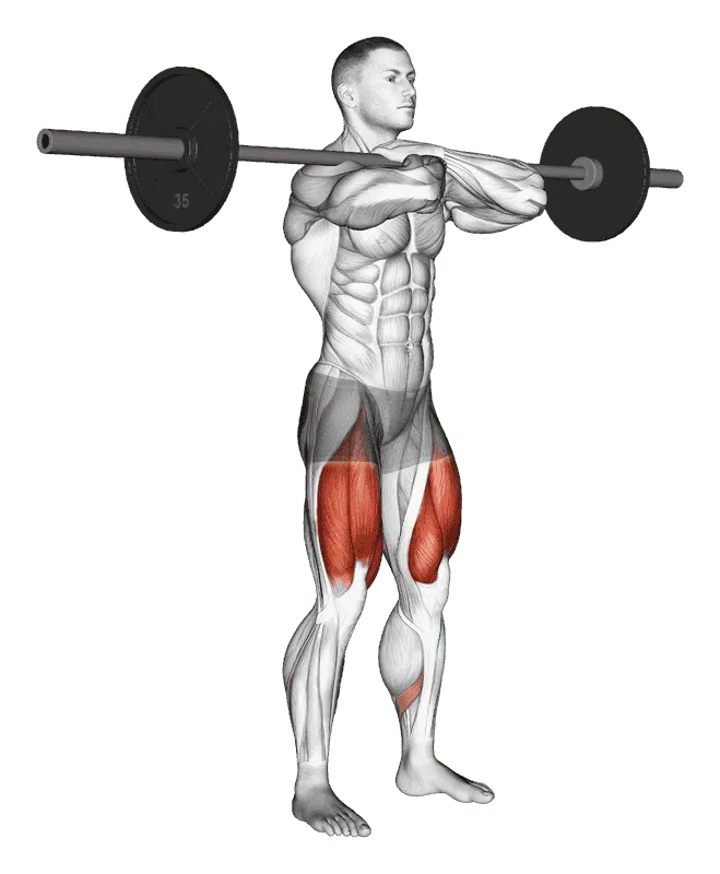 Barbell Front Squat