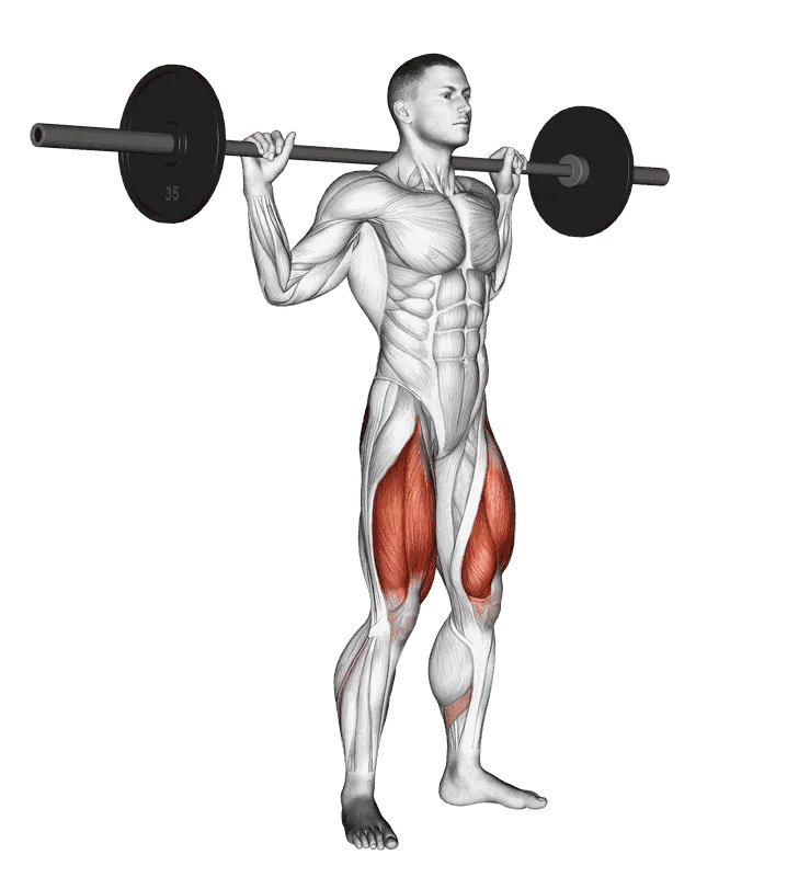 Barbell Full Squat