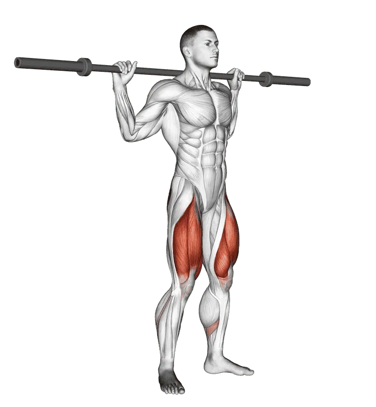 Barbell Full Squat (without weight), Male demonstration, Start