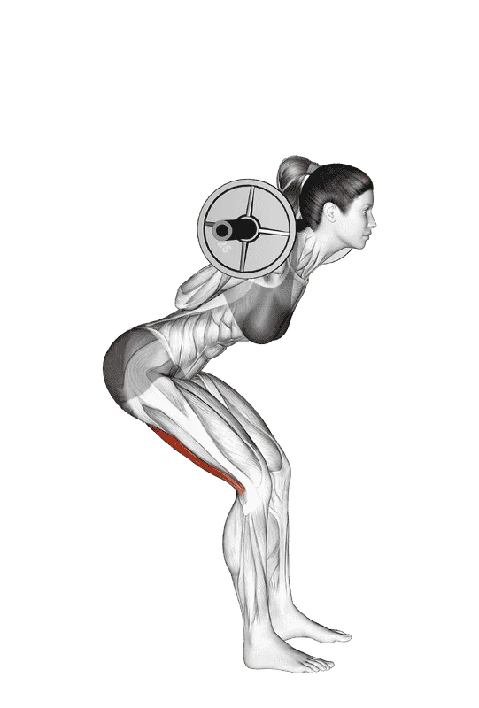 Barbell Good Morning, Female demonstration, Start