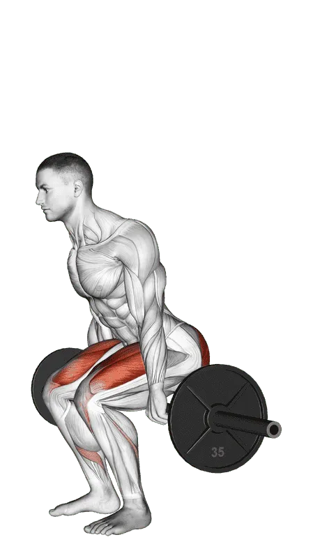 Barbell Hack Squat, Male demonstration, Start