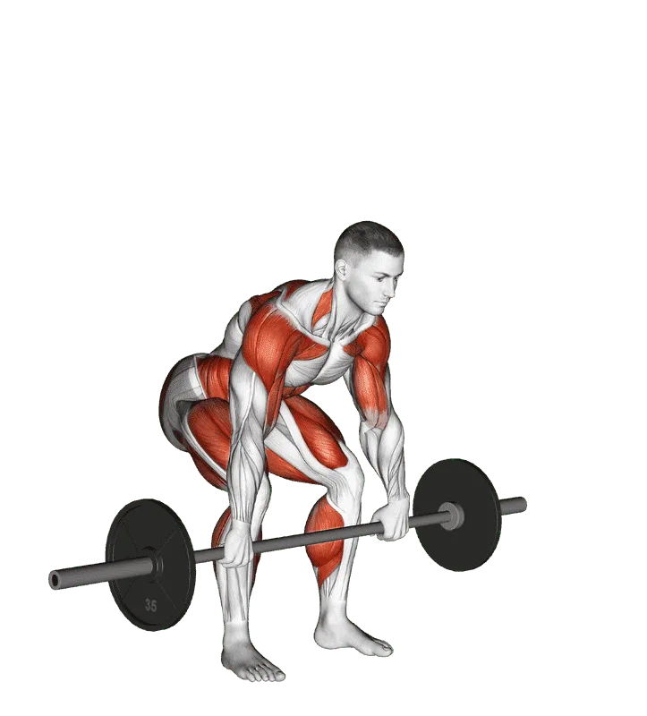 Barbell Hang Clean Below the Knees, Male demonstration, Start