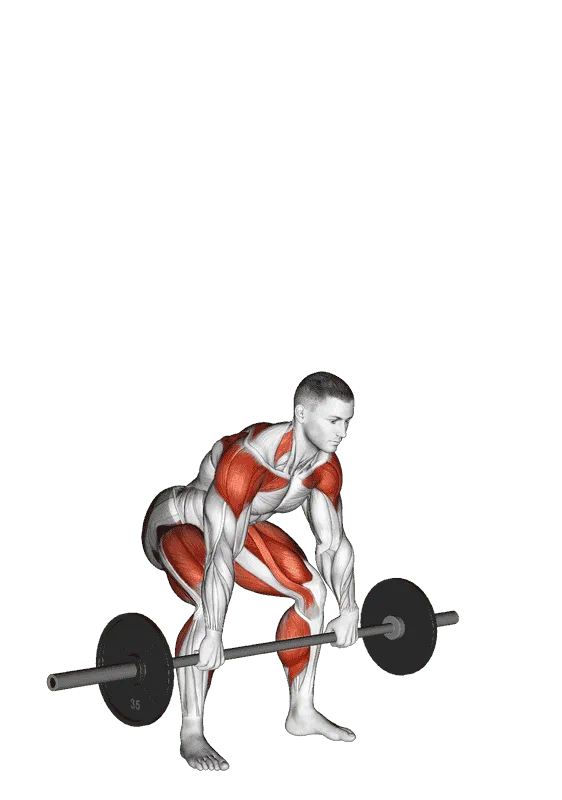 Barbell Hang Snatch Below the Knees