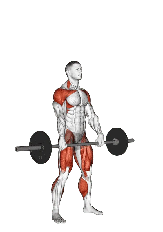 Barbell Hang Snatch