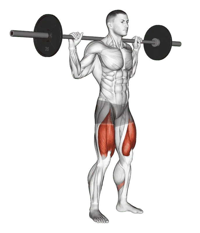 Barbell High-Bar Squat
