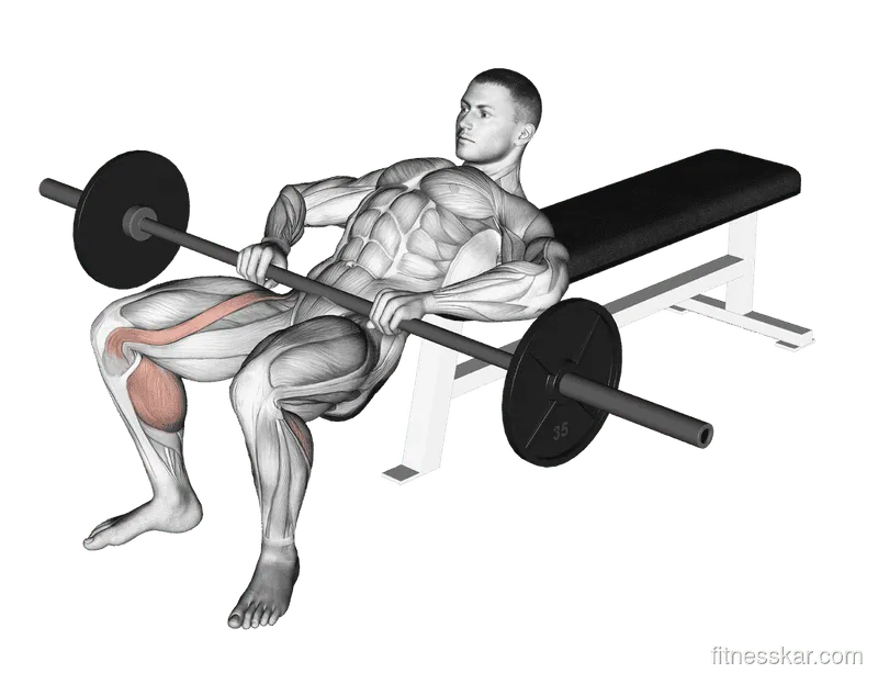 Barbell Hip Thrust