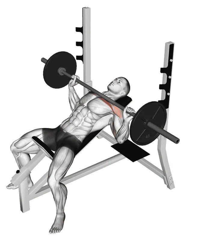 Barbell Incline Bench Press
