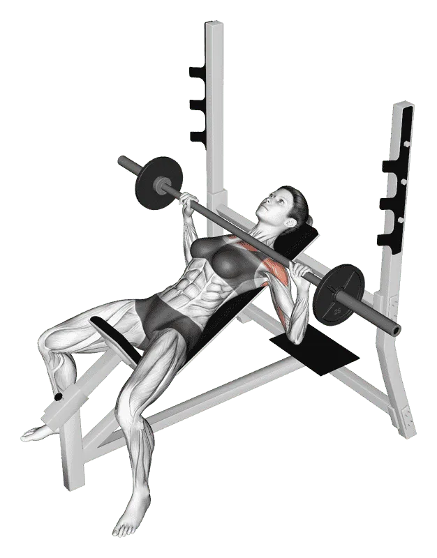 Barbell Incline Bench Press, Female demonstration, Start