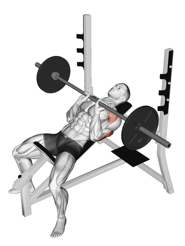 Barbell Incline Close-Grip Bench Press