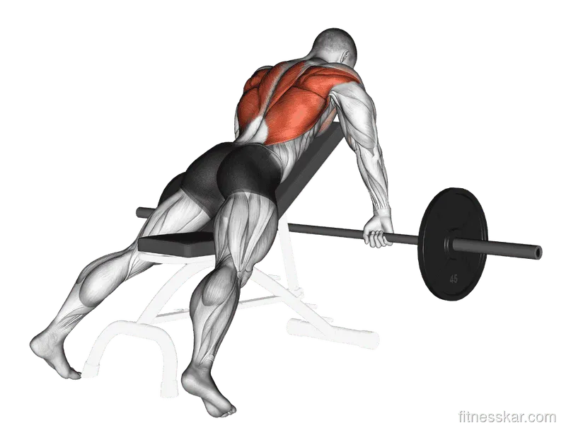 Barbell Incline Row
