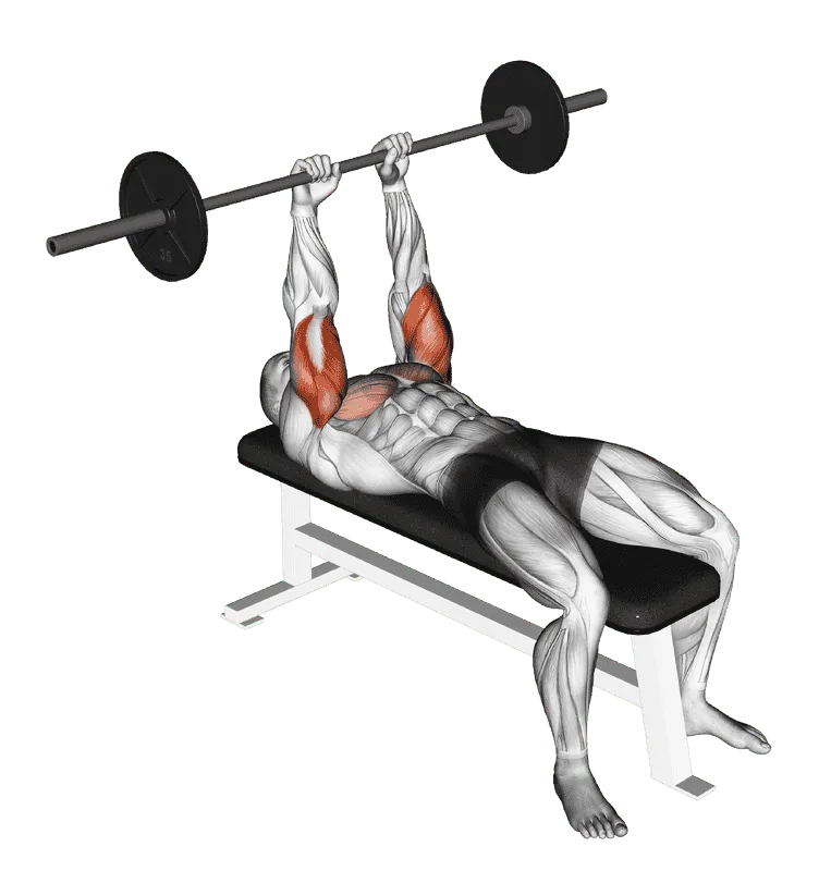 Barbell JM Bench Press