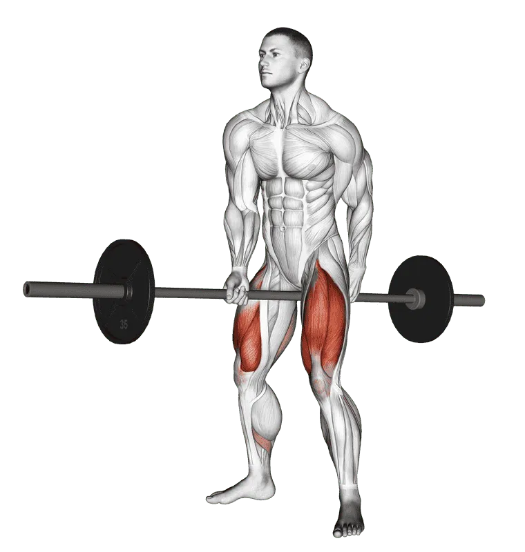 Barbell Jefferson Squat, Male demonstration, Start