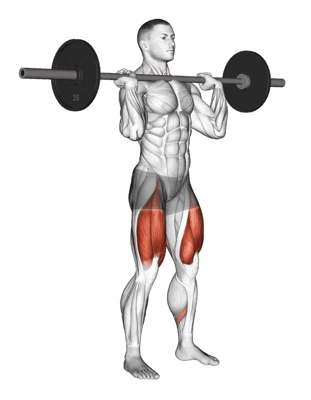 Barbell Jerk Dip Squat, Male demonstration, Start