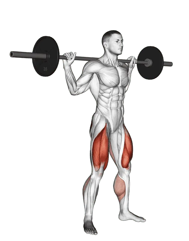 Barbell Jump Squat
