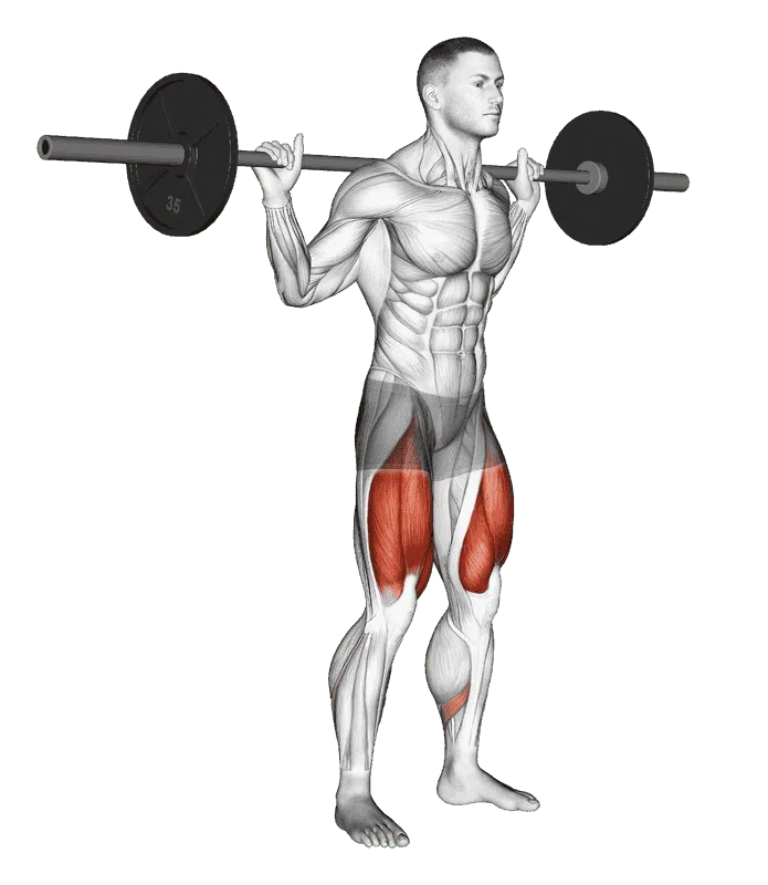 Barbell Low-Bar Squat