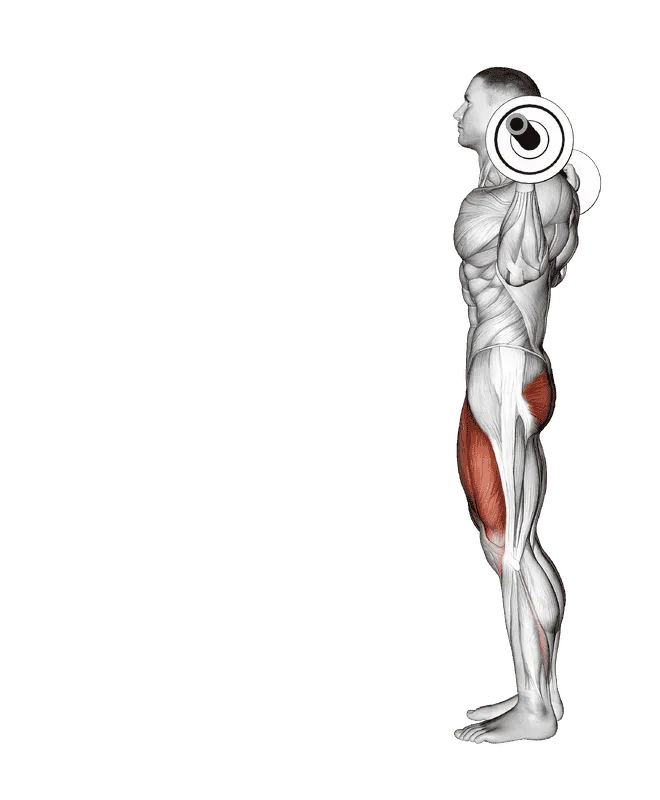 Barbell Lunge, Male demonstration, Start