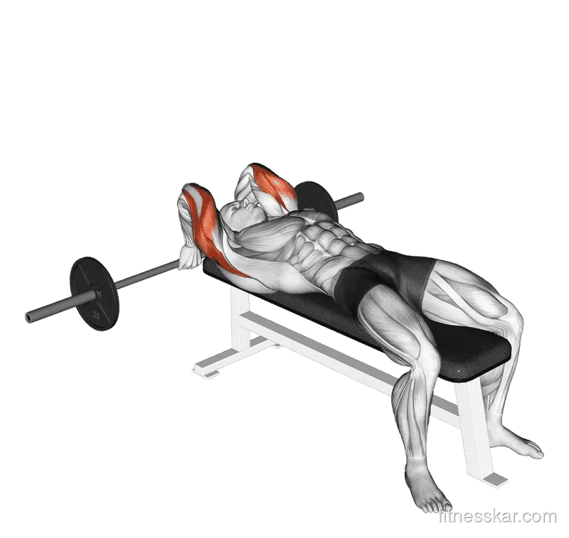 Barbell Lying Back of the Head Tricep Extension