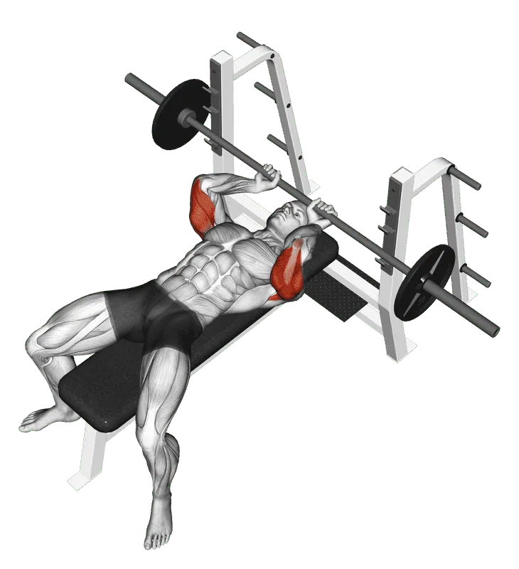 Barbell Lying Extension, Male demonstration, Start