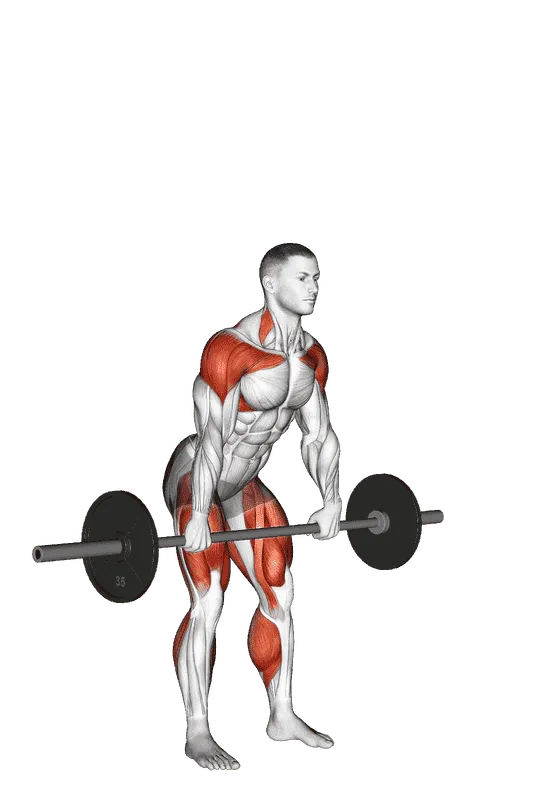 Barbell Muscle Snatch, Male demonstration, Start