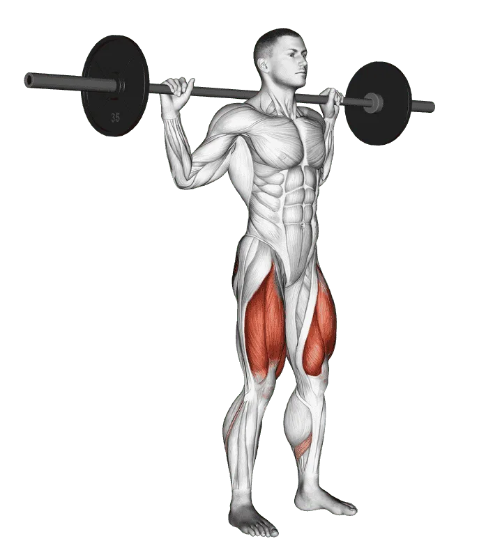 Barbell Narrow Stance Squat, Male demonstration, Start
