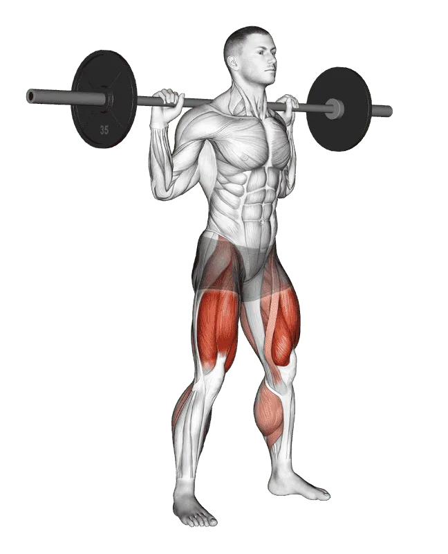 Barbell Olympic Squat
