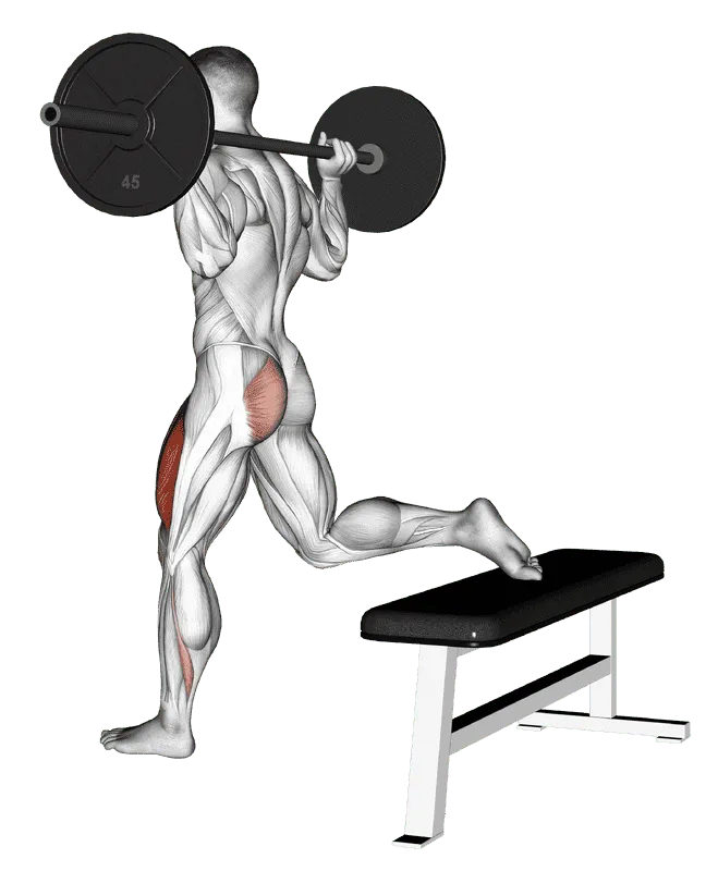 Barbell One-Leg Squat