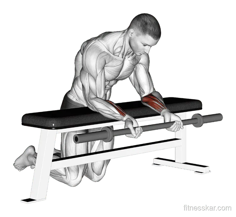 Barbell Palms-Up Wrist Curl Over A Bench