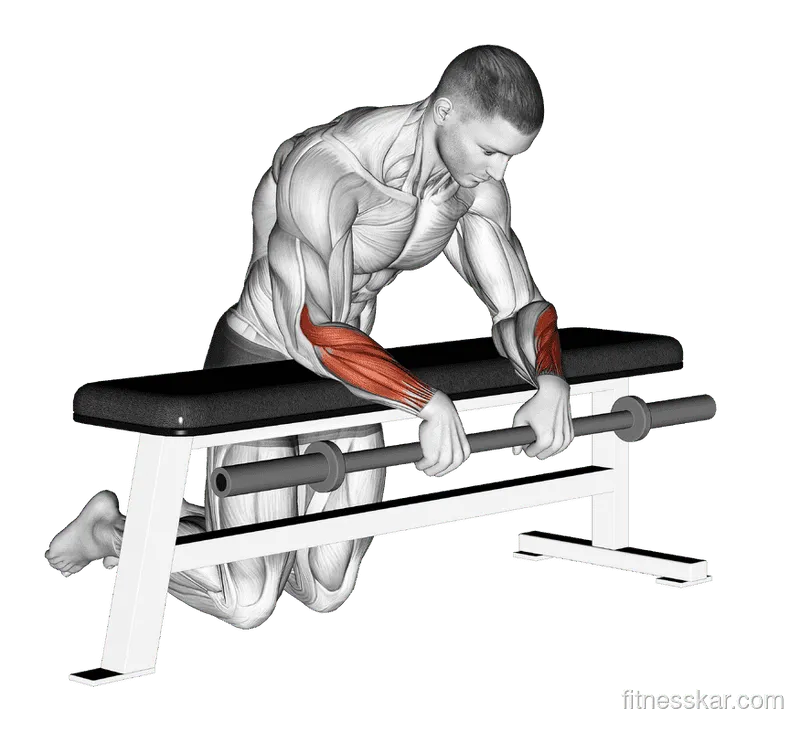 Barbell Palms Down Wrist Curl Over A Bench