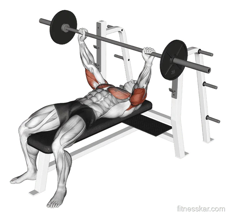 Barbell Pin Press, Male demonstration, Start