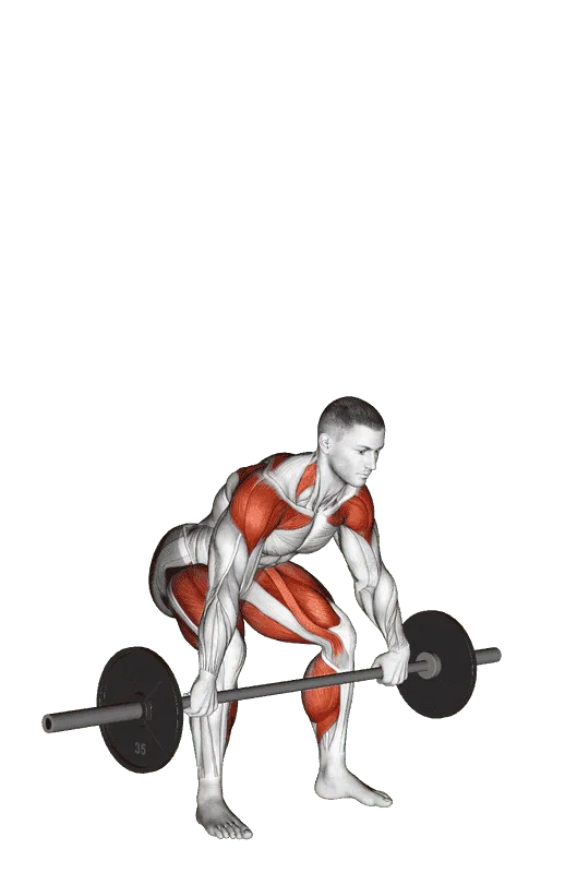 Barbell Power Snatch