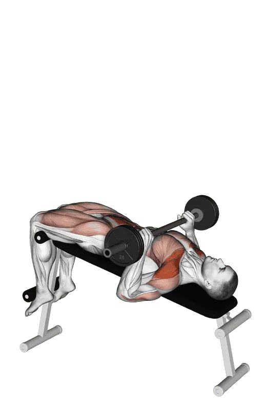 Barbell Press Sit-Up