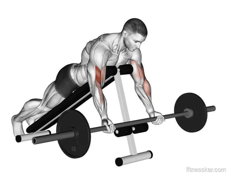 Barbell Prone Incline Curl