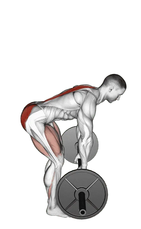 Barbell Rack Pull, Male demonstration, Start
