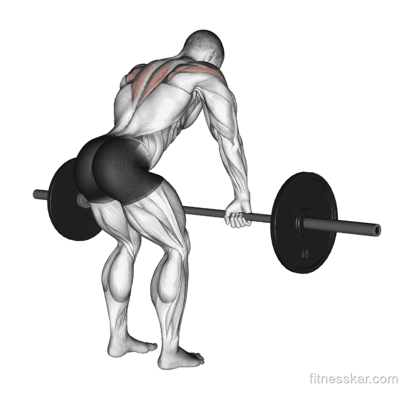 Barbell Rear Delt Row