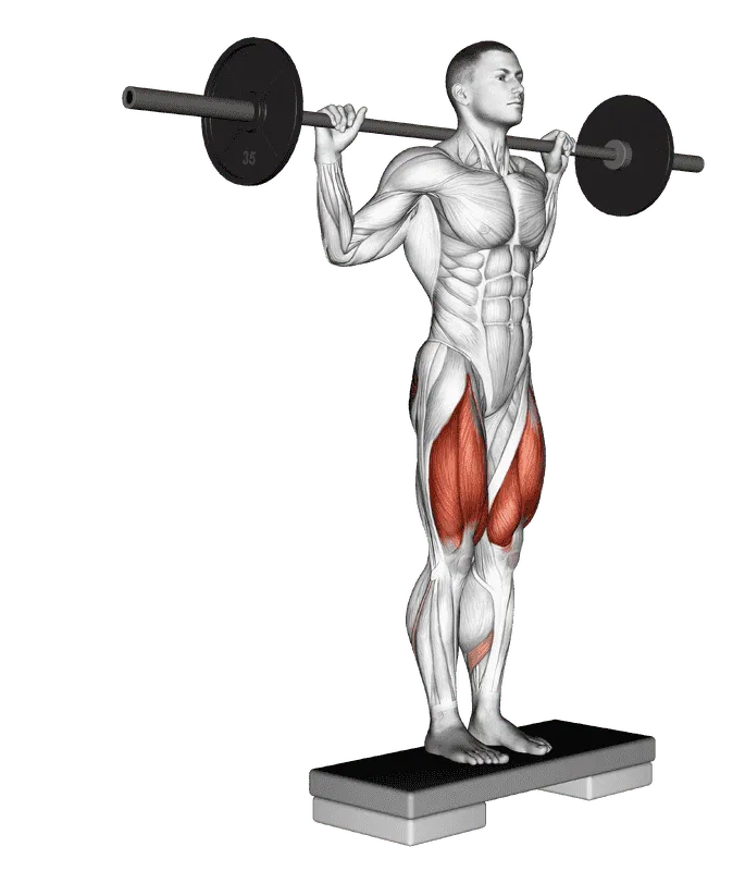 Barbell Rear Lunge