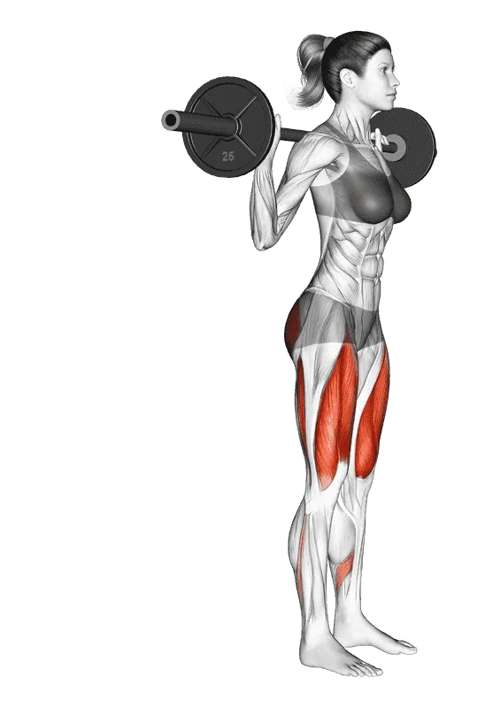 Barbell Rear Lunge, Female demonstration, Start