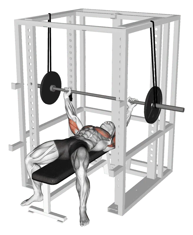 Barbell Reverse Band Bench Press, Male demonstration, Start