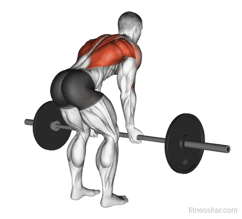 Barbell Reverse Grip Bent-over Row
