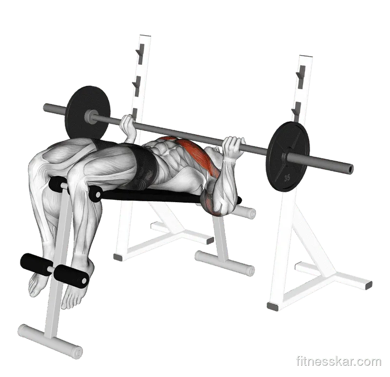 Barbell Reverse Grip Decline Bench Press